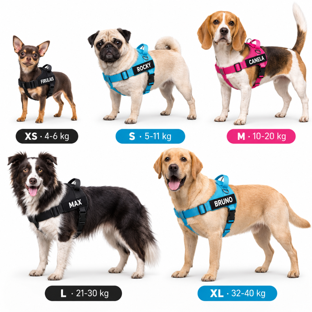 Arnés para perros personalizado