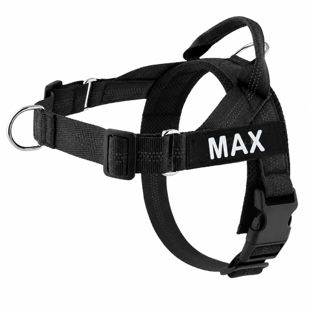Arnés para perros personalizado