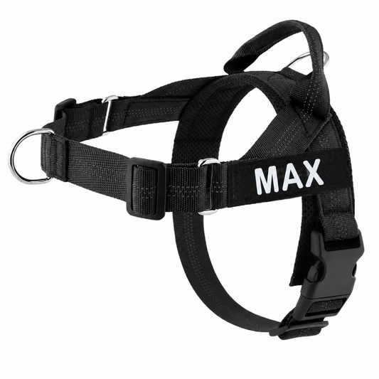 Arnés para perros personalizado