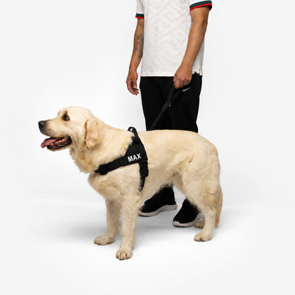 Arnés para perros personalizado