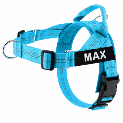 Arnés para perros personalizado